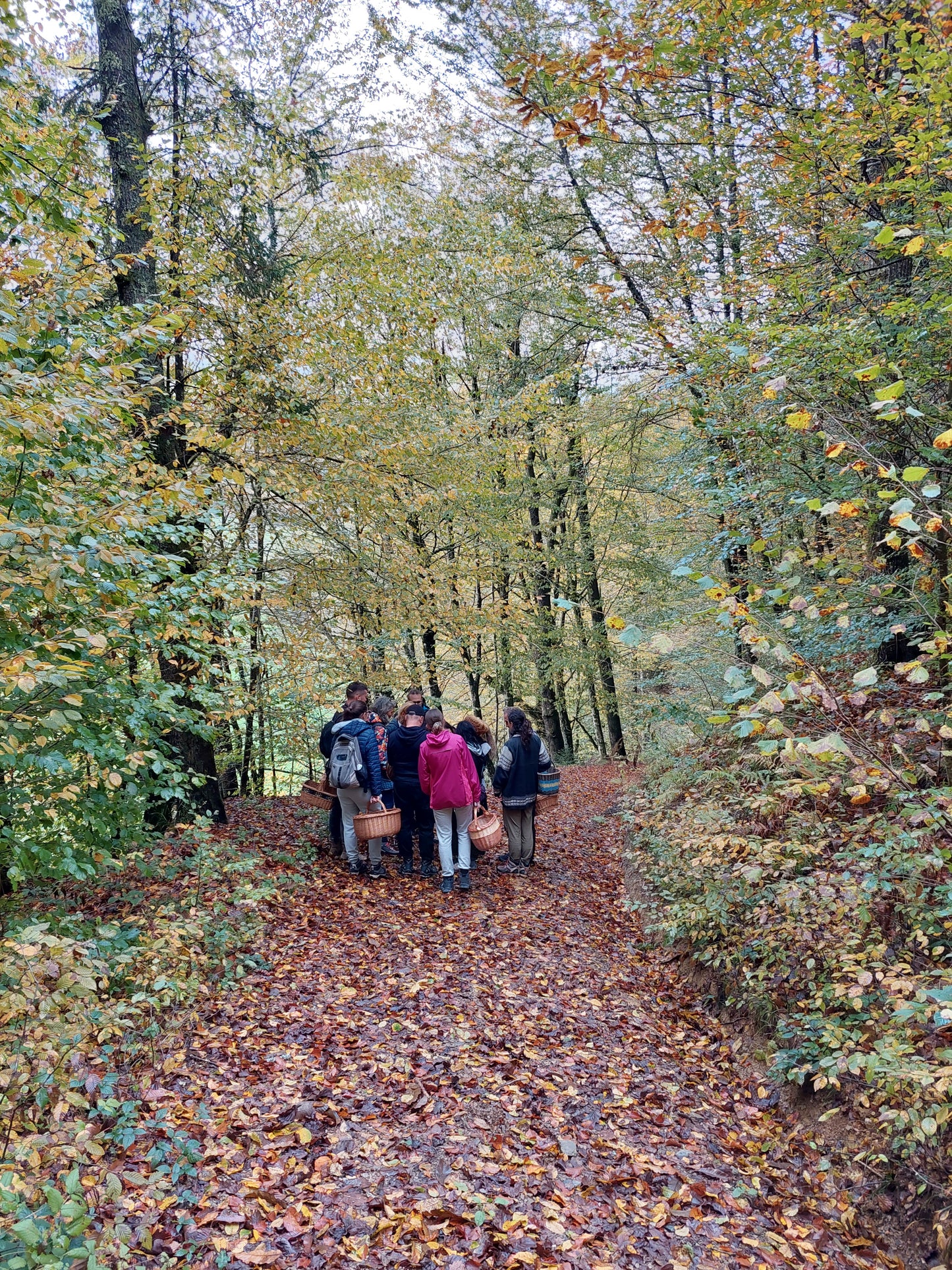 Praznik Morane - celodnevna gobja dogodivščina - 26. 10. - Gobnjak