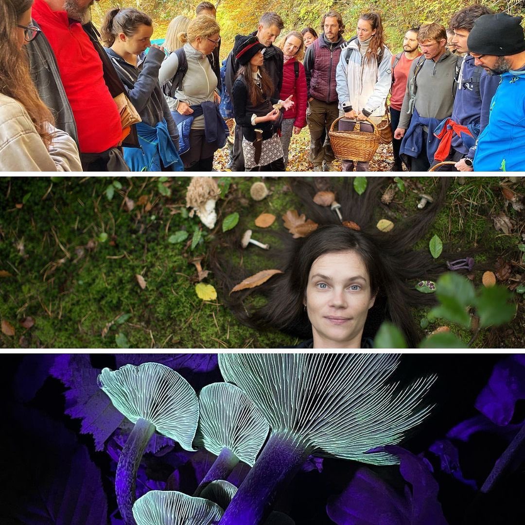 Praznik Morane - celodnevna gobja dogodivščina - 26. 10. - Gobnjak