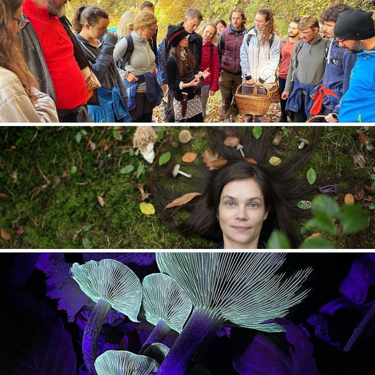 Praznik Morane - celodnevna gobja dogodivščina - 26. 10. - Gobnjak