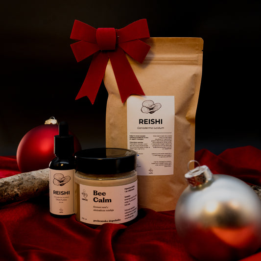 Praznični set - reishi