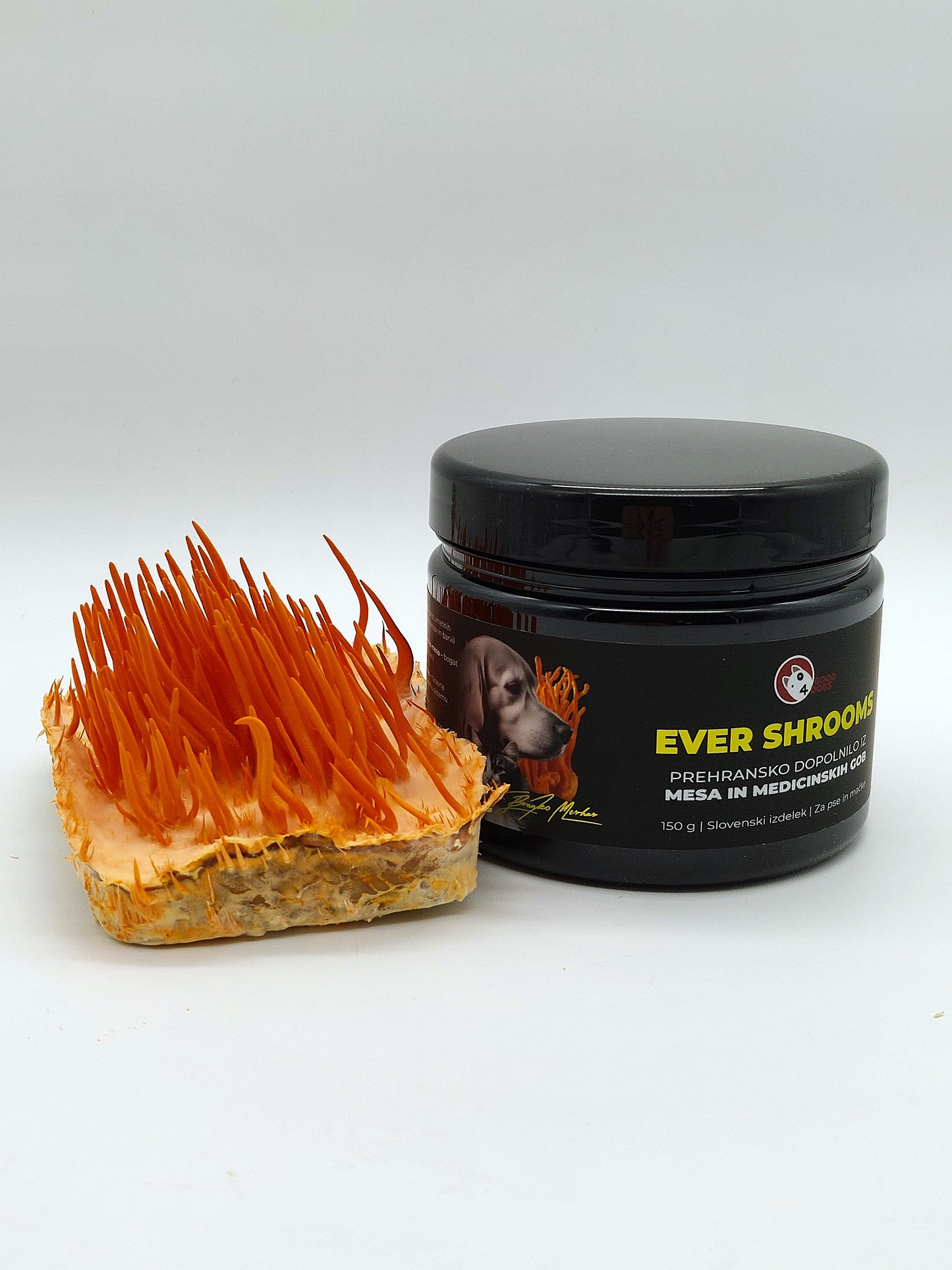 Ever Shrooms - liofilizirana govedina z dodatkom glavatca - Gobnjak