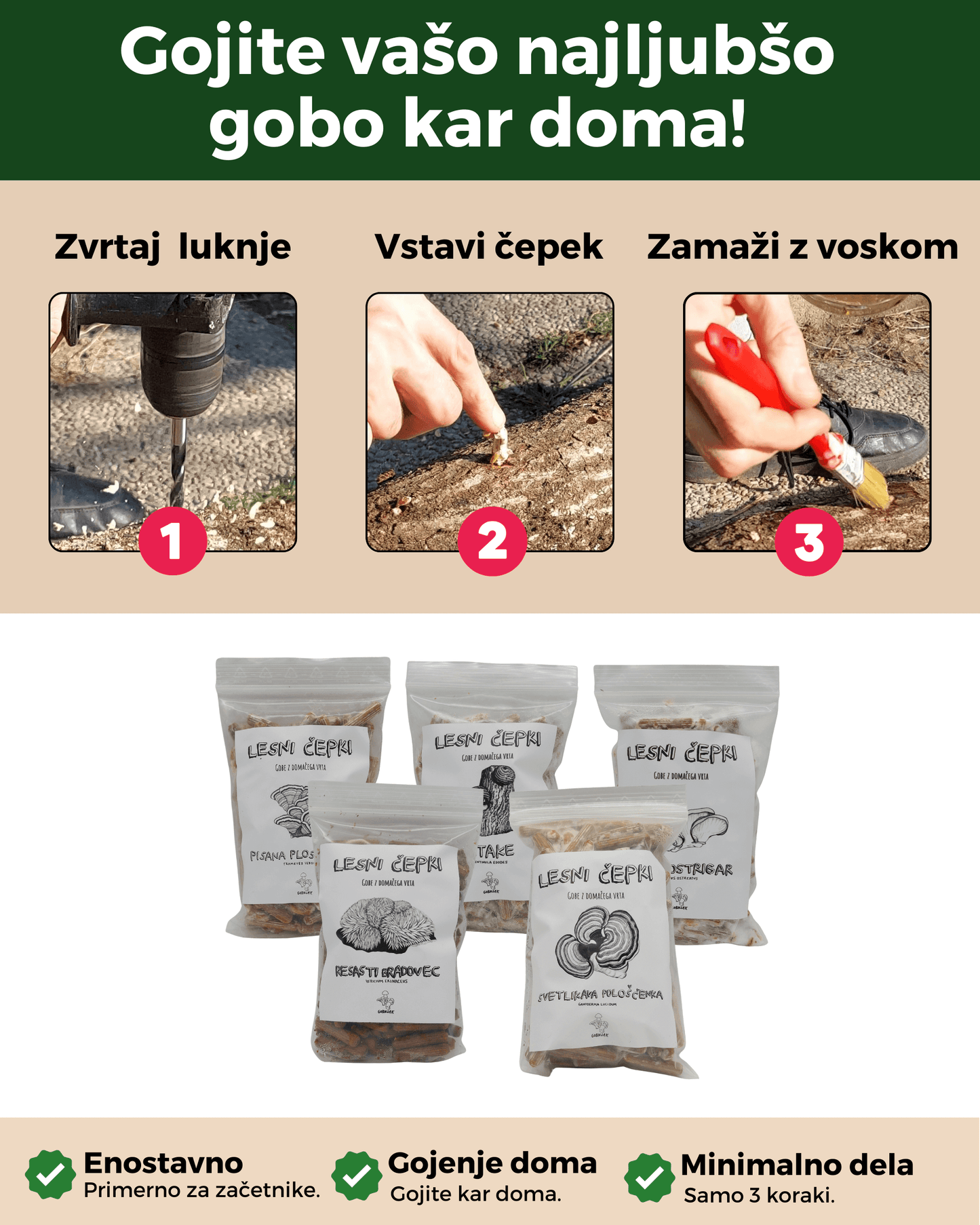 Micelij na lesnih čepkih