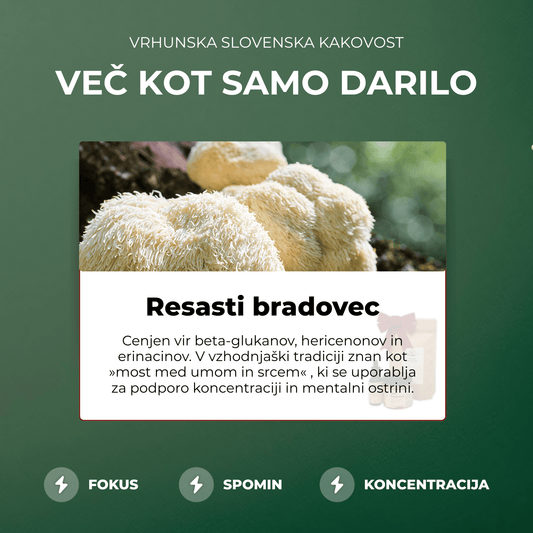 Praznični set - resasti bradovec