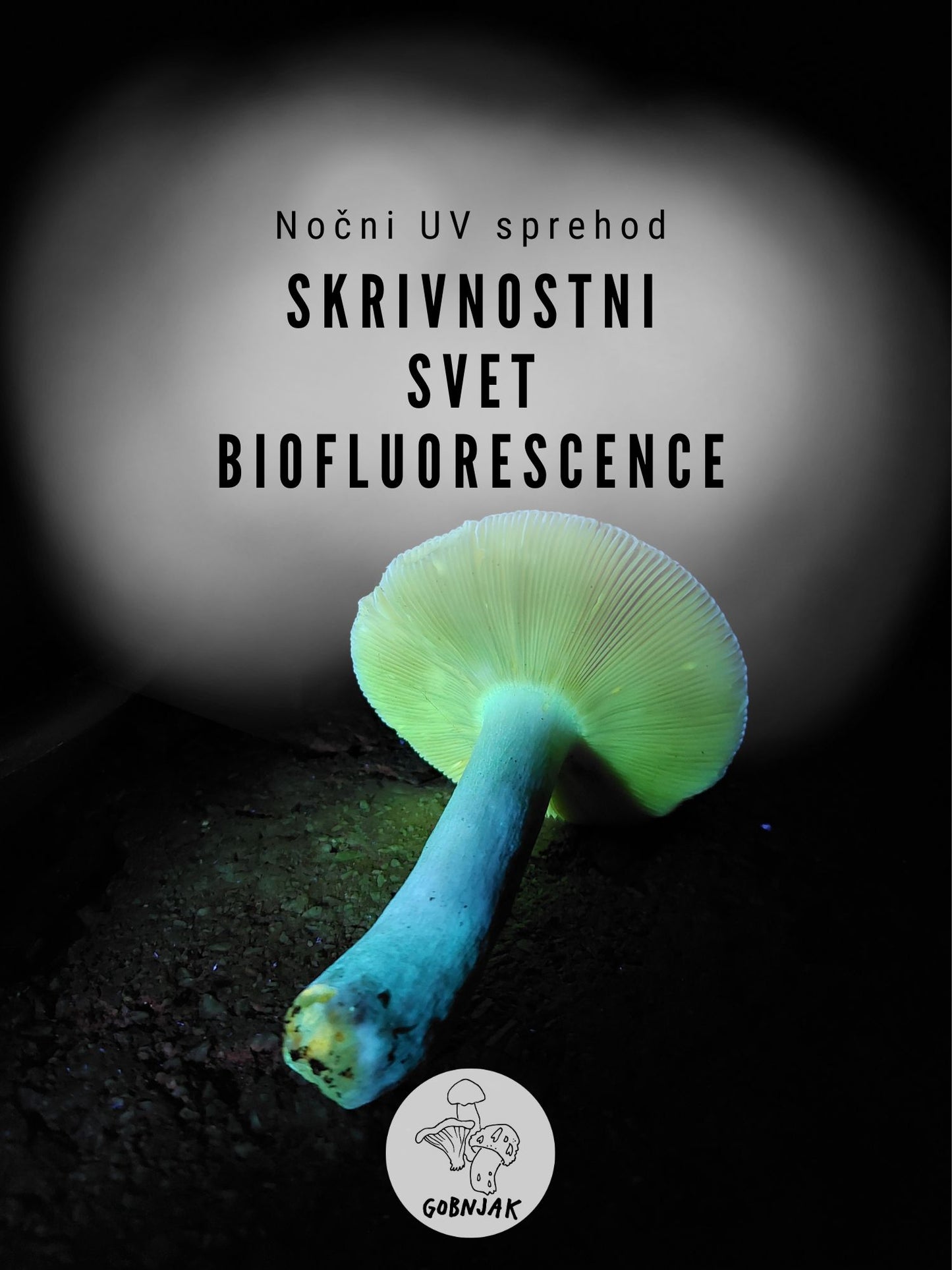 Nočni UV pohod na Rožnik - Gobnjak