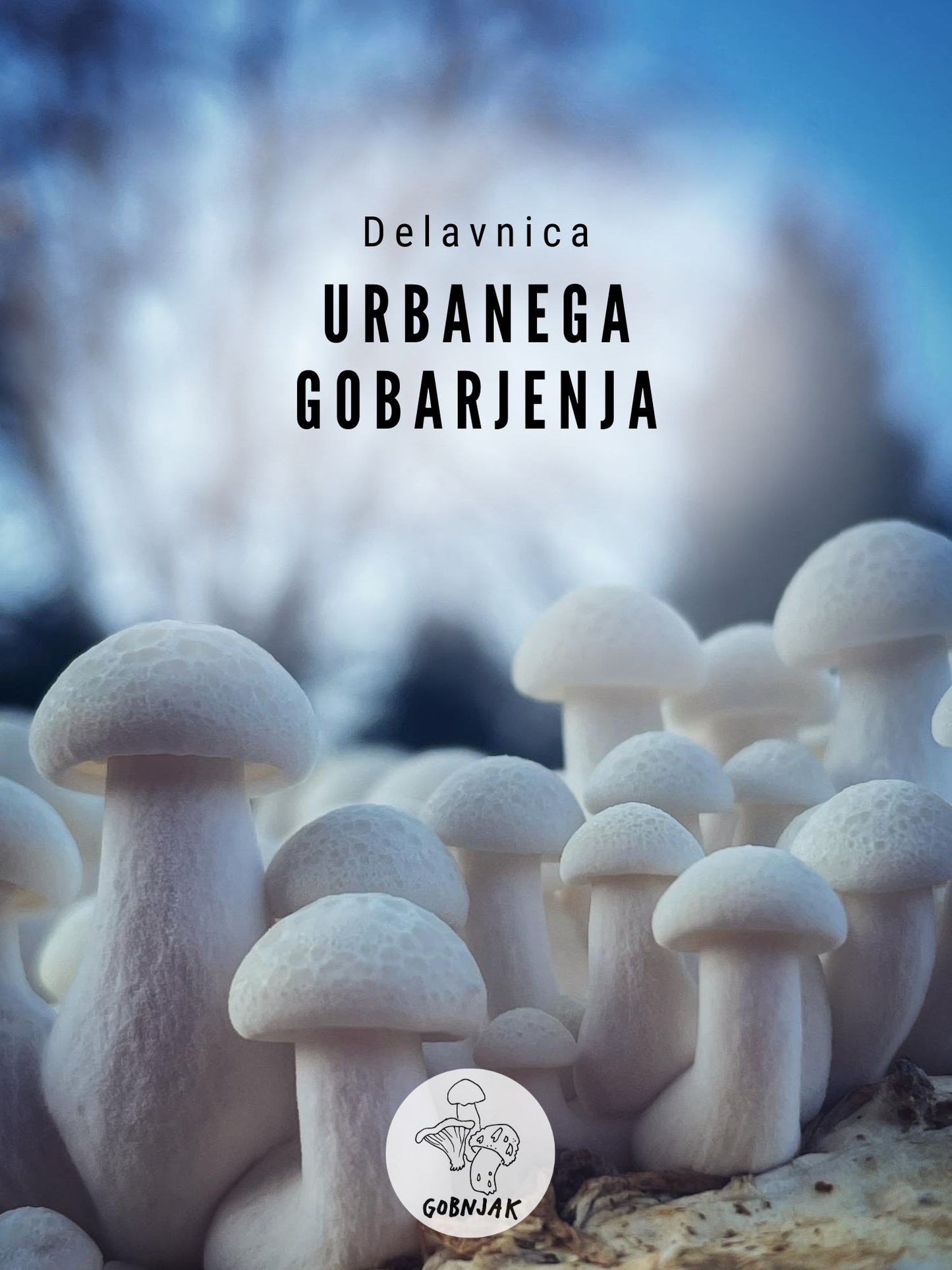 Delavnica urbanega gobarjenja - Gobnjak