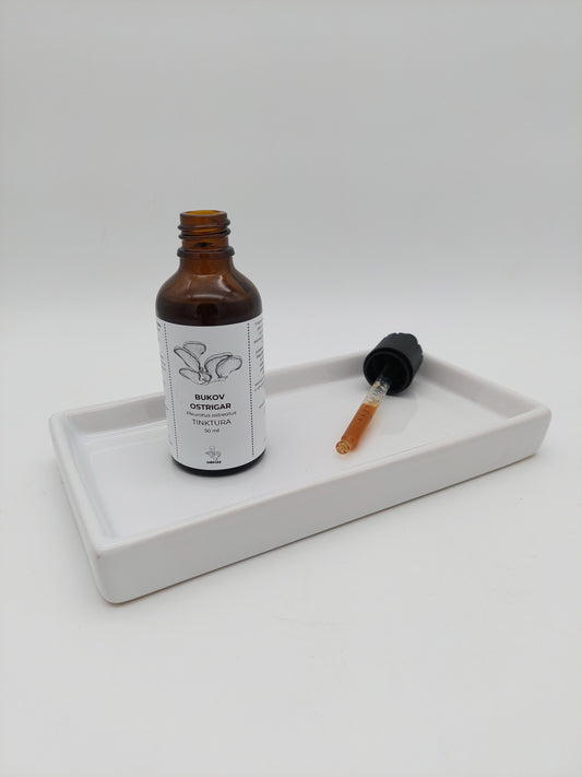 bukov ostrigar, pleurotus ostreatus, zdravilne gobe, medicinske gobe, holesterol, krvni sladkor, tinkture, beta-glukani, imunski sistem