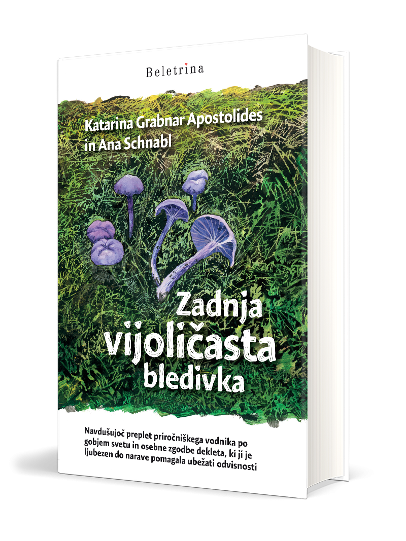 Zadnja vijoličasta bledivka - Gobnjak
