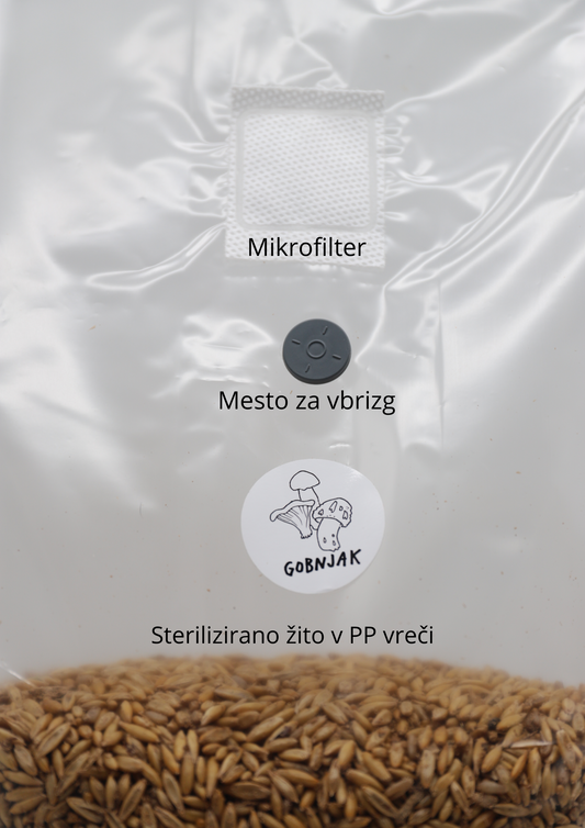 Sterilizirano žito v vreči - Gobnjak