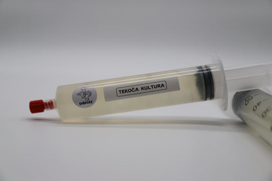 Micelij v tekočem gojišču - tekoča kultura - Gobnjak