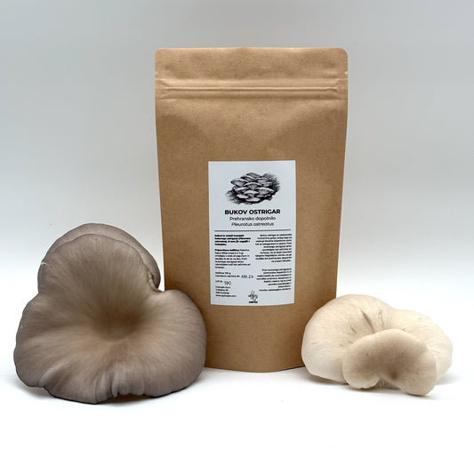 Bukov ostrigar v prahu - Gobnjak