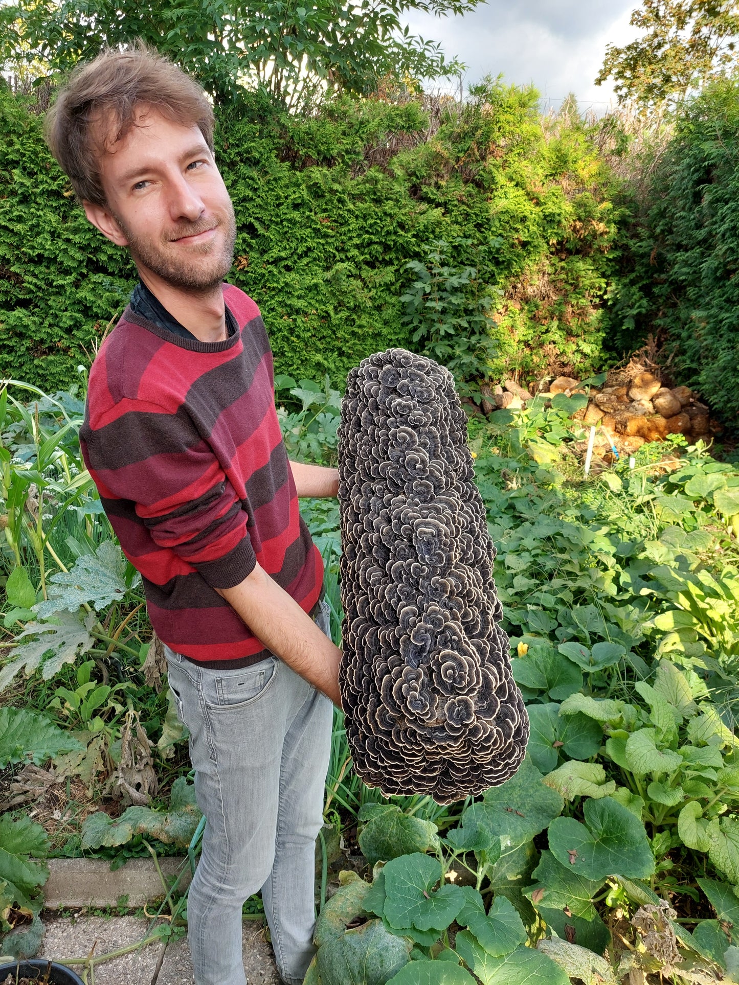 Gojenje gob na vrtu - 11. april