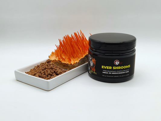Ever Shrooms - liofilizirana govedina z dodatkom glavatca - Gobnjak