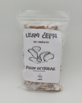Micelij na lesnih čepkih - Gobnjak