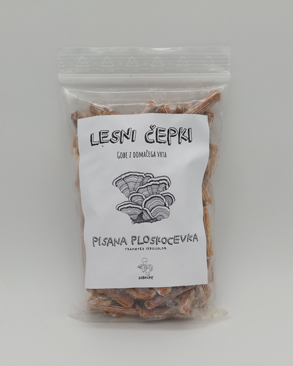 Micelij na lesnih čepkih - Gobnjak