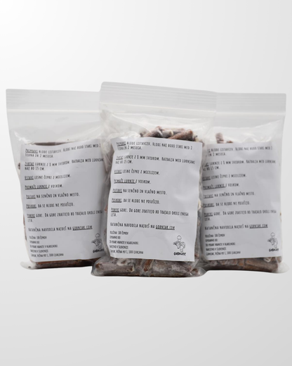 Micelij na lesnih čepkih - Gobnjak