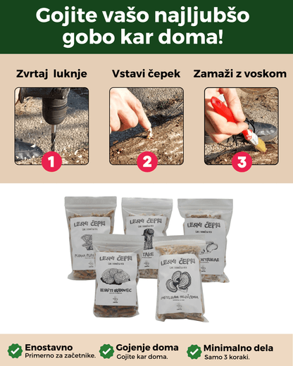 Micelij na lesnih čepkih - Gobnjak