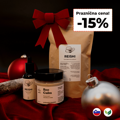 Praznični set - reishi