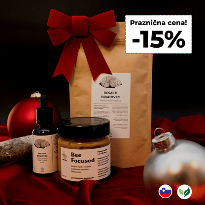 Praznični set - resasti bradovec