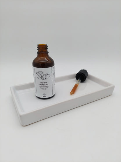 bukov ostrigar, pleurotus ostreatus, zdravilne gobe, medicinske gobe, holesterol, krvni sladkor, tinkture, beta-glukani, imunski sistem