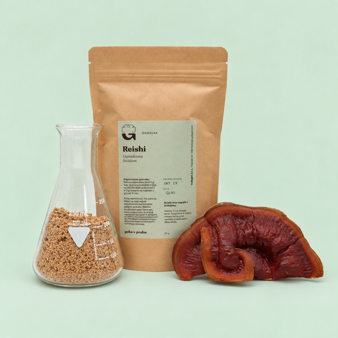 Reishi (svetlikava pološčenka) v prahu