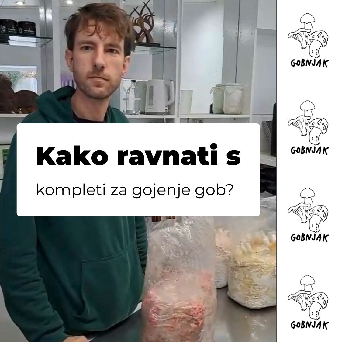 Kako ravnati s kompletim za gojenje gob