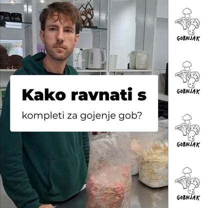 Kako ravnati s kompletim za gojenje gob
