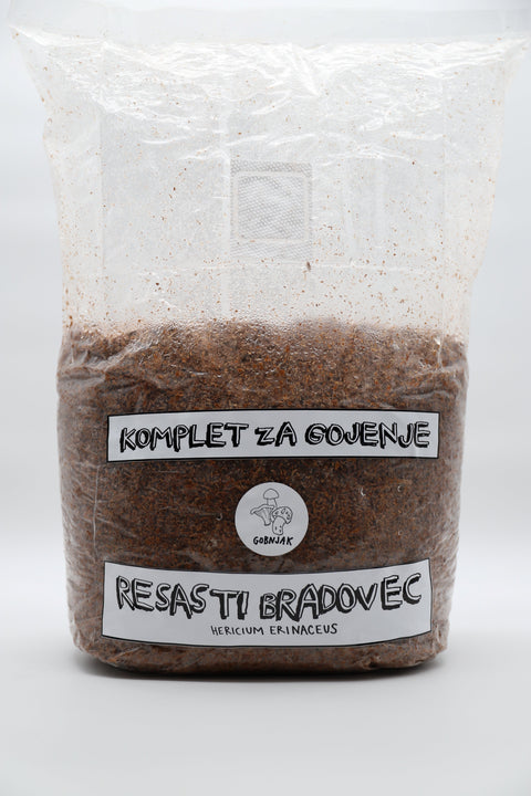 Komplet za gojenje gob - Resasti bradovec - Hericium erinaceus - lion's mane - Gobnjak
