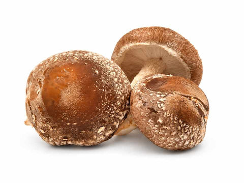 Šitake