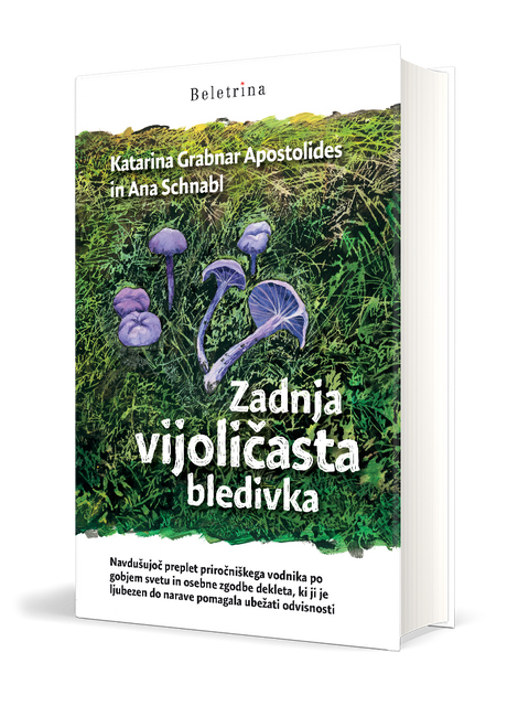 Zadnja vijoličasta bledivka - Gobnjak