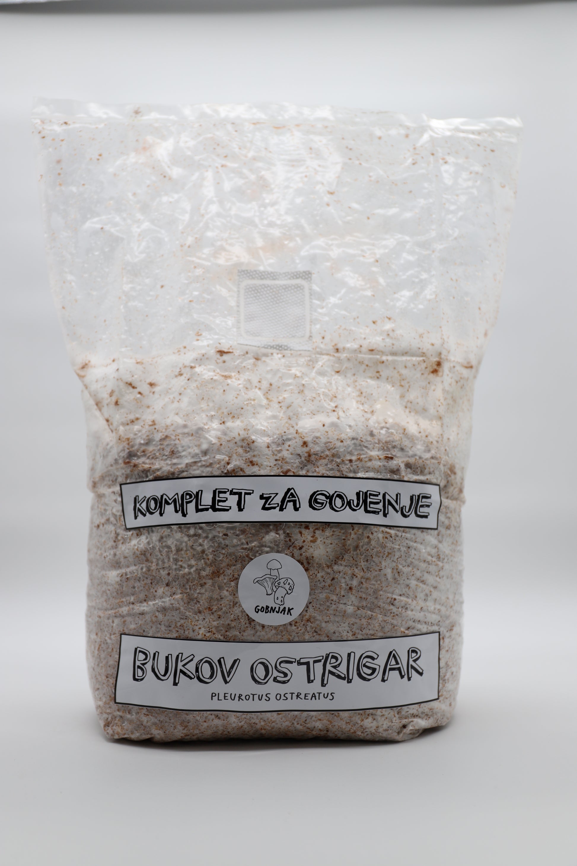 Komplet za gKomplet za gojenje gob - Bukov ostrigar - pleurotus ostreatus - Gobnjakojenje - Bukov ostrigar - Gobnjak